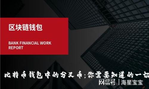 比特币钱包中的分叉币:你需要知道的一切
