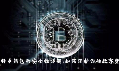 比特币钱包的安全性详解:如何保护你的数字资产