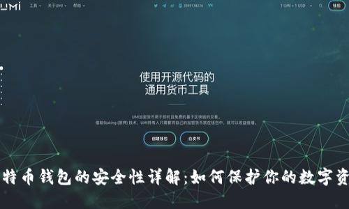 比特币钱包的安全性详解:如何保护你的数字资产