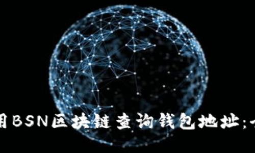 如何使用BSN区块链查询钱包地址:全面指南