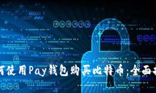 如何使用Pay钱包购买比特币:全面指南