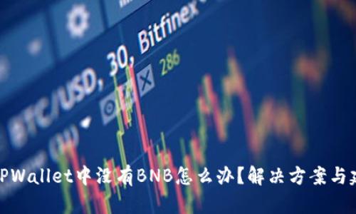 在TPWallet中没有BNB怎么办?解决方案与建议