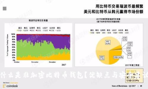 什么是非加密比特币钱包?优缺点与安全建议