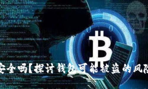 区块链钱包安全吗?探讨钱包可能被盗的风险与防护措施