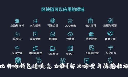 比特币钱包遗失怎么办?解决方案与防范措施
