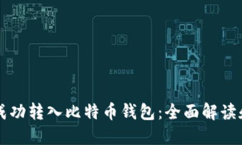 美元如何成功转入比特币钱包:全面解读和使用指南