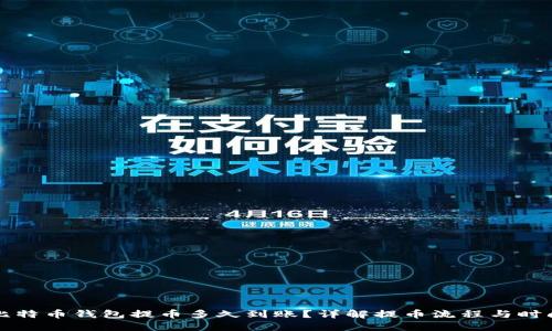 比特币钱包提币多久到账?详解提币流程与时间