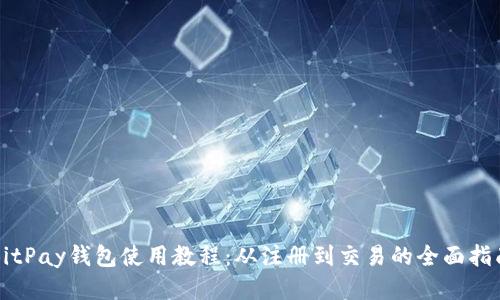 BitPay钱包使用教程:从注册到交易的全面指南