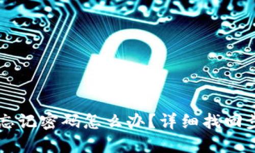 TPWallet忘记密码怎么办?详细找回步骤与指南
