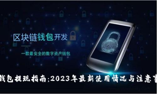 TP钱包提现指南:2023年最新使用情况与注意事项