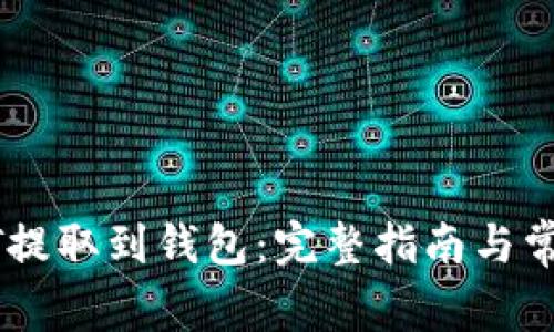 如何将USDT提取到钱包:完整指南与常见问题解答