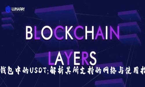 TP钱包中的USDT:解析其所支持的网络与使用指南