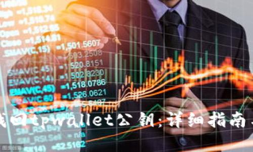 如何找回tpwallet公钥:详细指南与技巧