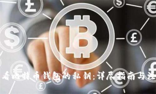 如何查看比特币钱包的私钥:详尽指南与注意事项