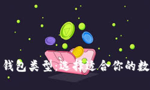 全面解析比特币钱包类型:选择适合你的数字资产管理工具
