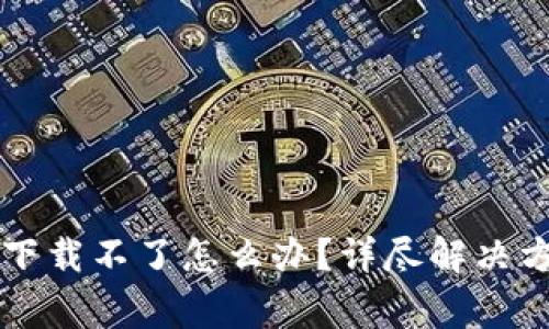 区块链阿拉丁钱包下载不了怎么办?详尽解决方案与常见问题解析