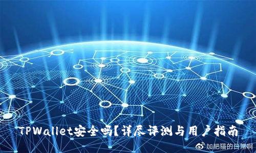 TPWallet安全吗?详尽评测与用户指南