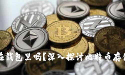 比特币必须放在钱包里吗?深入探讨比特币存储方式与安全性