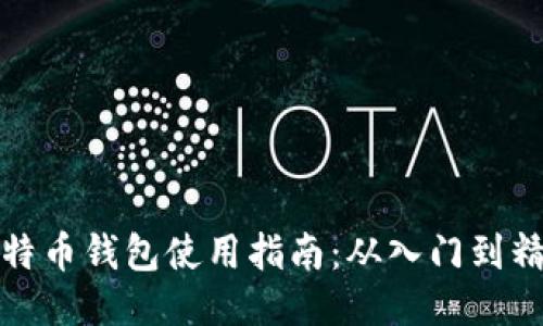 比特币钱包使用指南:从入门到精通