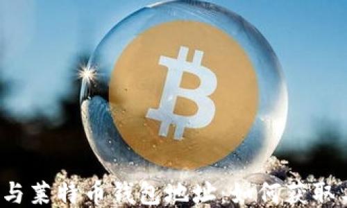 比特币与莱特币钱包地址:如何获取与管理?