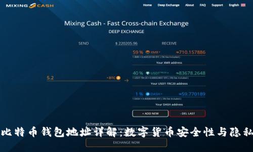 著名比特币钱包地址详解:数字货币安全性与隐私保护