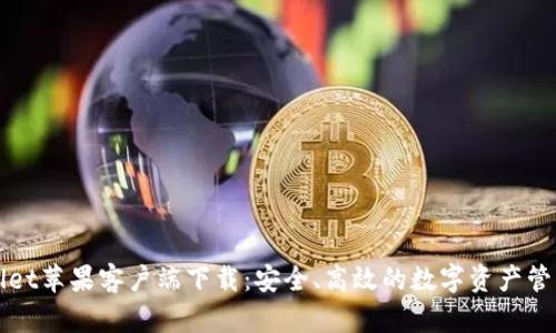 TPWallet苹果客户端下载:安全、高效的数字资产管理工具