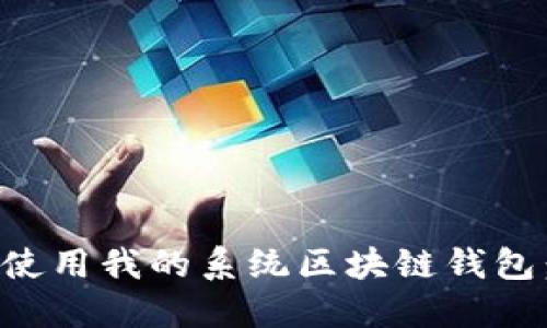 如何安全使用我的系统区块链钱包:终极指南