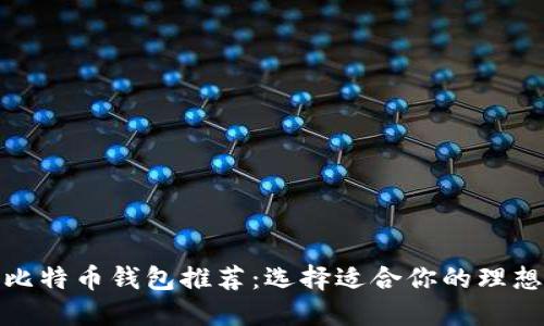 最佳比特币钱包推荐:选择适合你的理想钱包