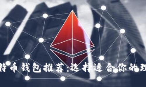 最佳比特币钱包推荐:选择适合你的理想钱包