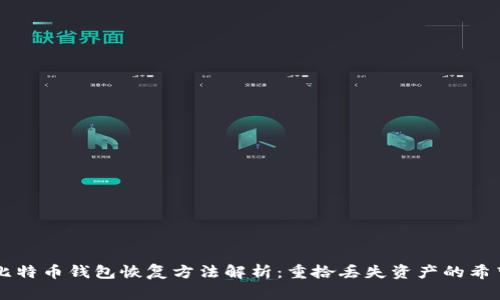 比特币钱包恢复方法解析:重拾丢失资产的希望