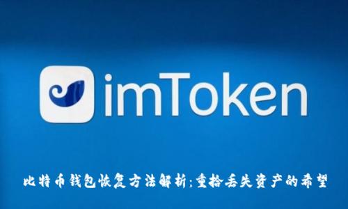 比特币钱包恢复方法解析:重拾丢失资产的希望