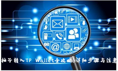 火币柚子转入TP Wallet全攻略:详细步骤与注意事项