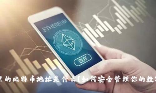 钱包里的比特币地址是什么?如何安全管理你的数字资产