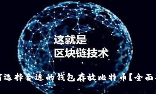 如何选择合适的钱包存放比特币?全面指南