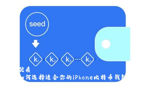 优质
如何选择适合你的iPhone比特币钱包?