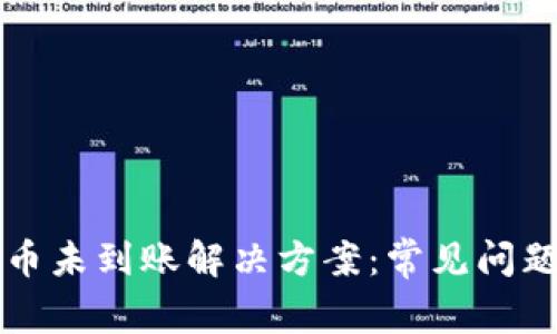 tpwallet买币未到账解决方案:常见问题与处理方法