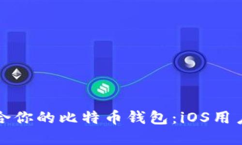 如何选择适合你的比特币钱包:iOS用户的终极指南