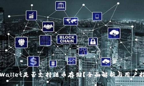 TPWallet是否支持法币存储?全面解析与用户指南