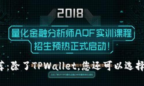 十大安全钱包推荐:除了TPWallet,您还可以选择哪些安全的钱包?