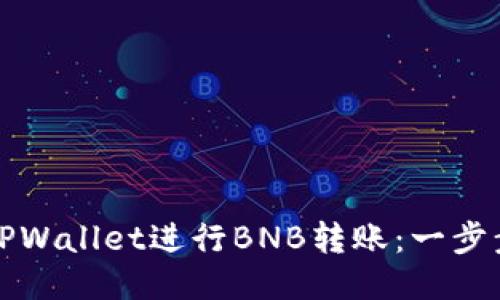 如何使用TPWallet进行BNB转账:一步步详细指南