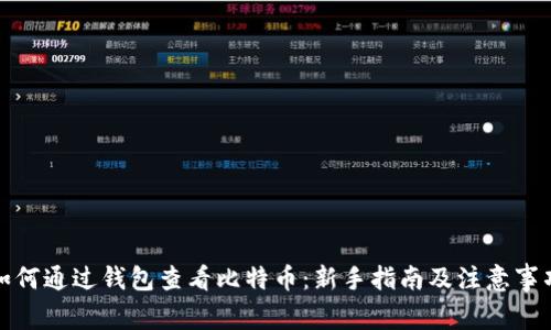 如何通过钱包查看比特币:新手指南及注意事项