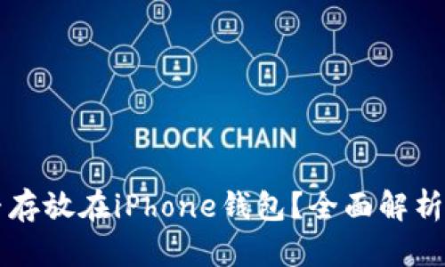 比特币能否存放在iPhone钱包?全面解析与实用指南