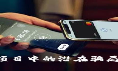 揭示区块链钱包项目中的潜在骗局:投资者必看指南