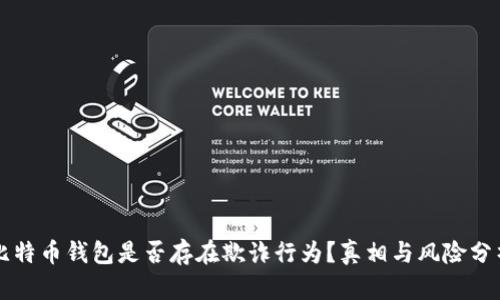 比特币钱包是否存在欺诈行为?真相与风险分析