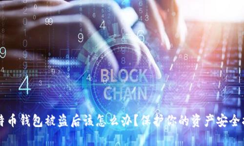 比特币钱包被盗后该怎么办?保护你的资产安全指南