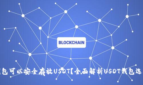 哪些钱包可以安全存放USDT?全面解析USDT钱包选择指南