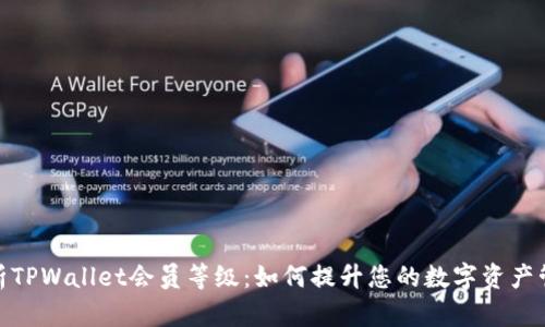 全面解析TPWallet会员等级:如何提升您的数字资产管理体验
