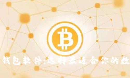 全面解析比特币钱包软件:选择最适合你的数字货币存储工具