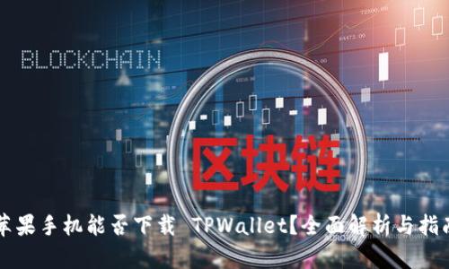 苹果手机能否下载 TPWallet?全面解析与指南
