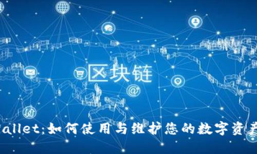 TPWallet:如何使用与维护您的数字资产安全